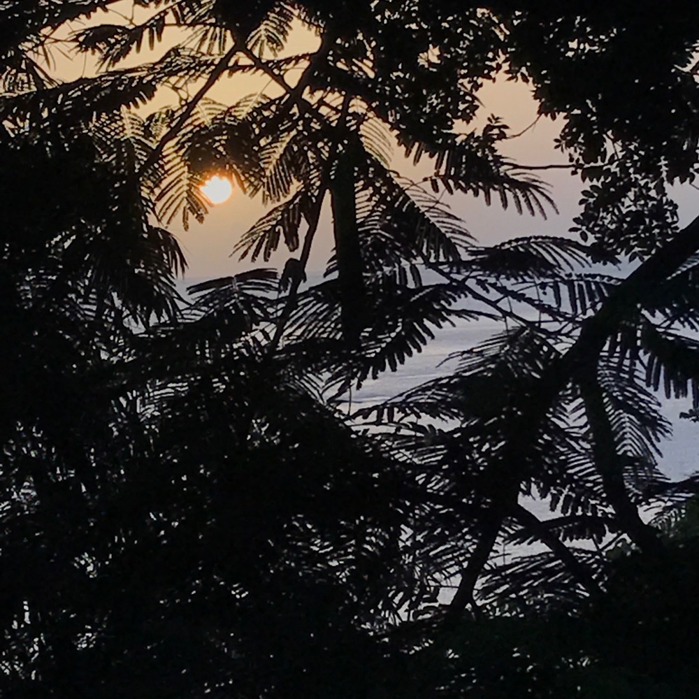 Meet your Posher, Becca